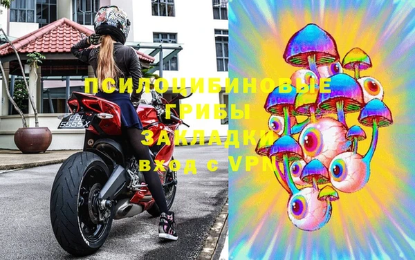 таблы Няндома