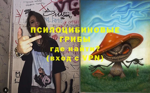 дурь Алексин